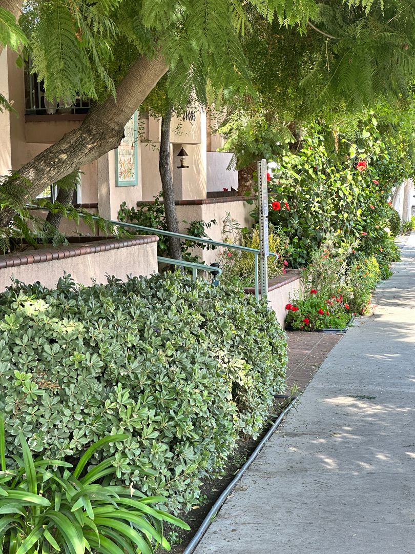 Torrance Apartment: 24035 Ocean Avenue