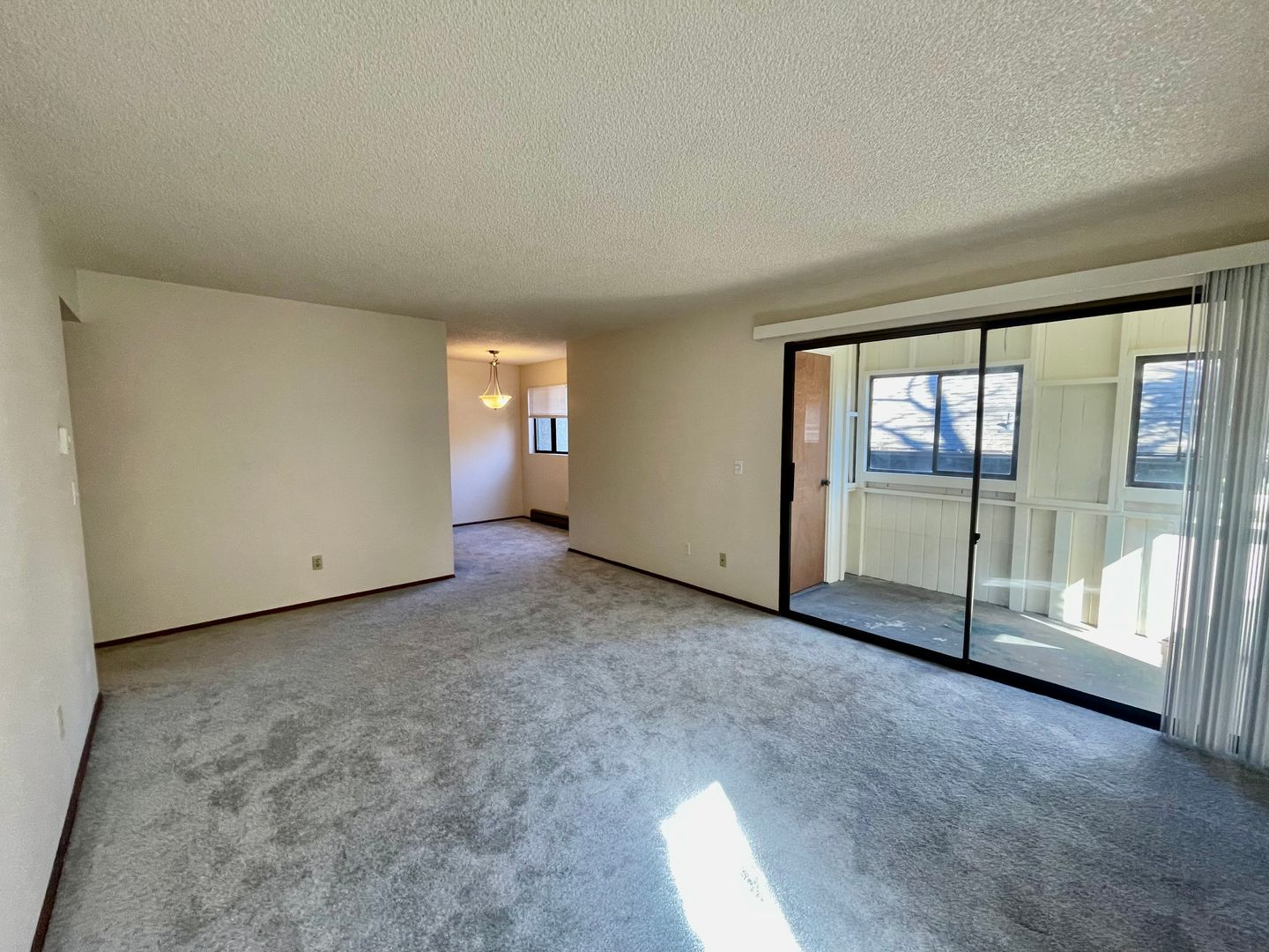 Seattle Apartment: 1311 N 49th St