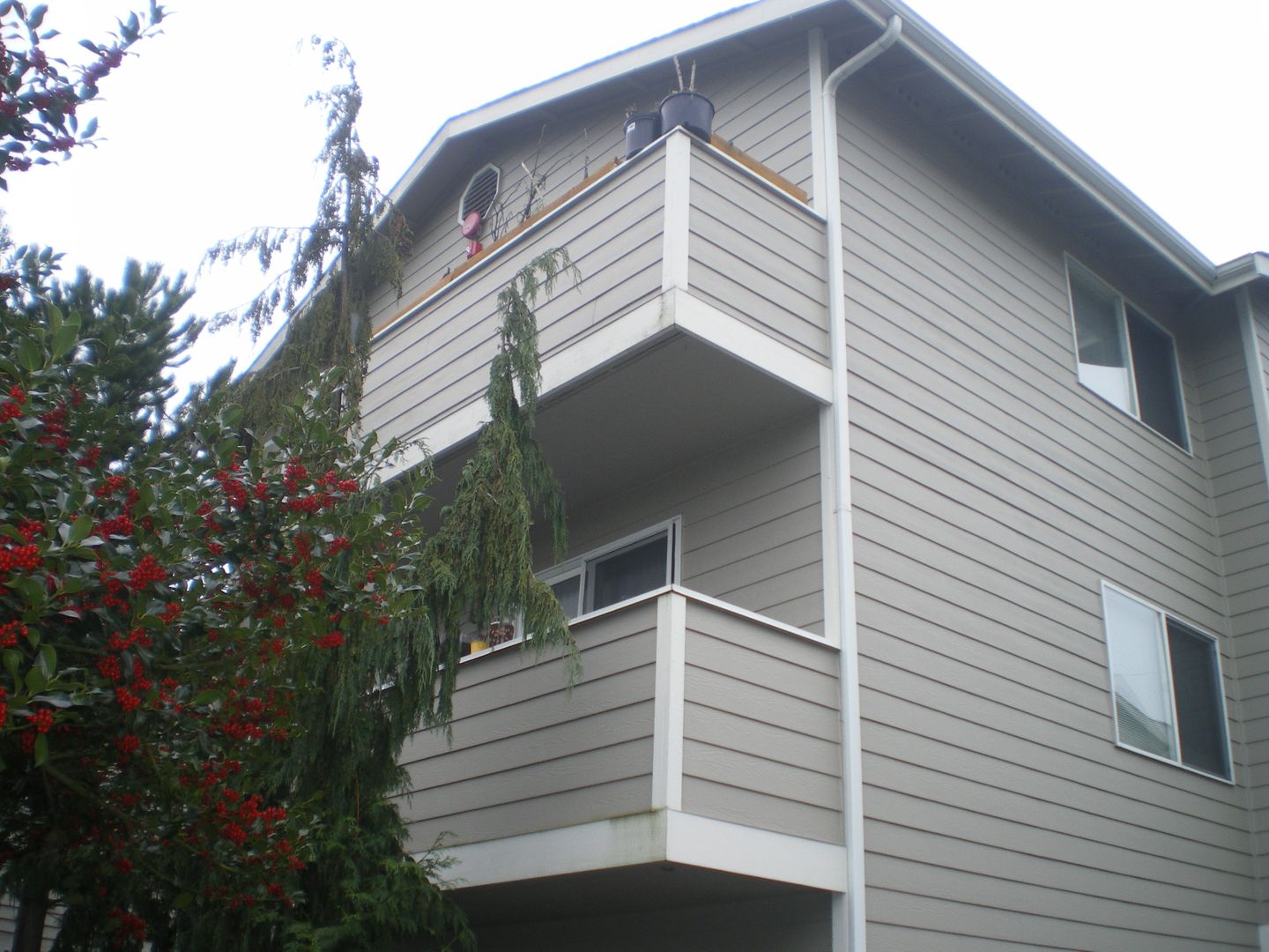 Everett Apartment: 3928 Rucker Ave
