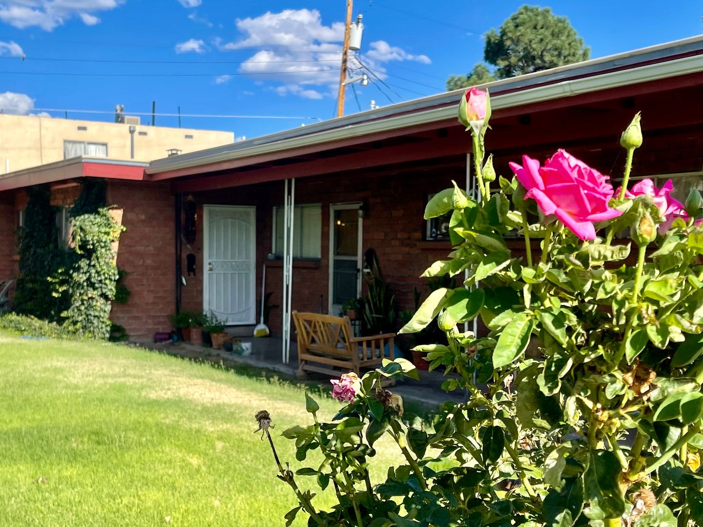 Albuquerque Apartment: 1428 Vassar Dr NE