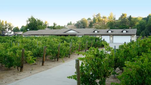 Temecula Wine Country Estate | Luxury 4BR Retreat with Pool, Vineyard Views & Entertainment Grounds – photo 1