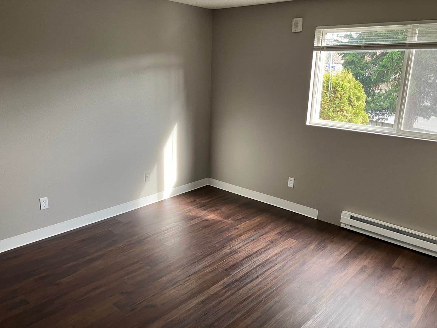 Bellevue Apartment: 13001 SE 28th PL