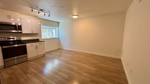 Large 1x1 with in unit washer and dryer – photo 1
