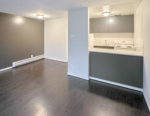 8 WEEKS FREE | Studio Apartment in Mount Baker / Columbia City – photo 1