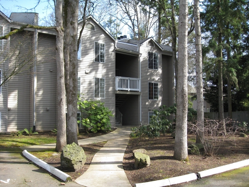 Bright and Airy One Bedroom Condo - Water, Sewer & Trash Covered! - $300 off first month's rent!