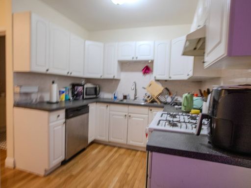 4 Bed, 1 Bath - TWO MONTH'S FREE - Steps from Boston University (BU) and Coolidge Corner – photo 1
