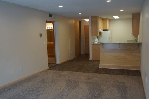 Move-In Ready Saint Paul Gem with Granite Finishes and Private Balcony – photo 1