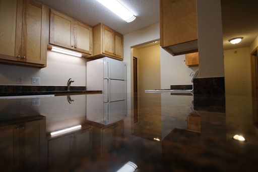 2 Bed 2 Bath Rental at 301 E Burnsville Pkwy Apt 133, Burnsville, MN – photo 1