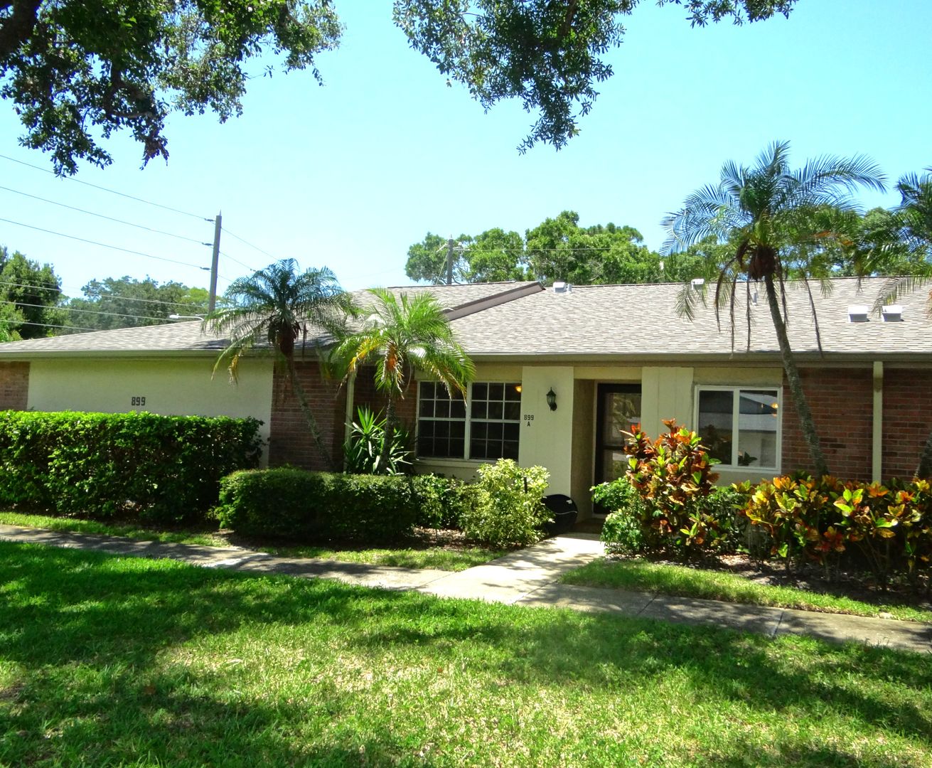 Palm Harbor Condo: 899 Cleland Court