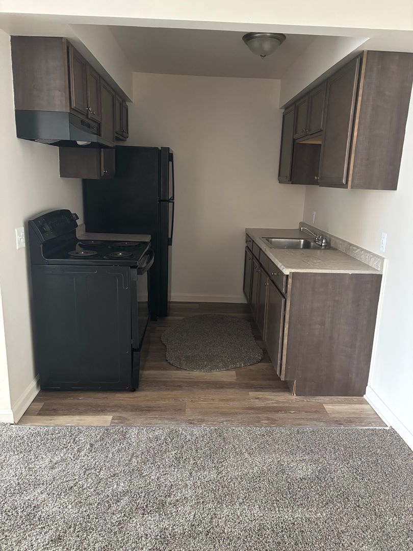 Detroit Apartment: 20479 Fleming