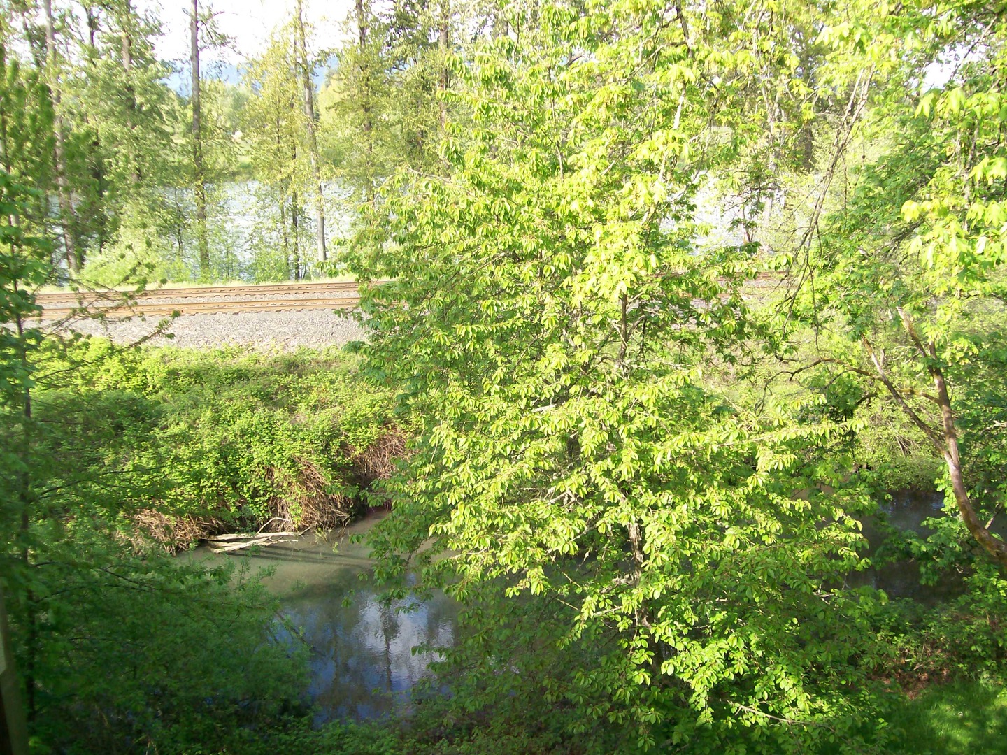 Eugene Apartment: 1933 Garden Ave.1-9