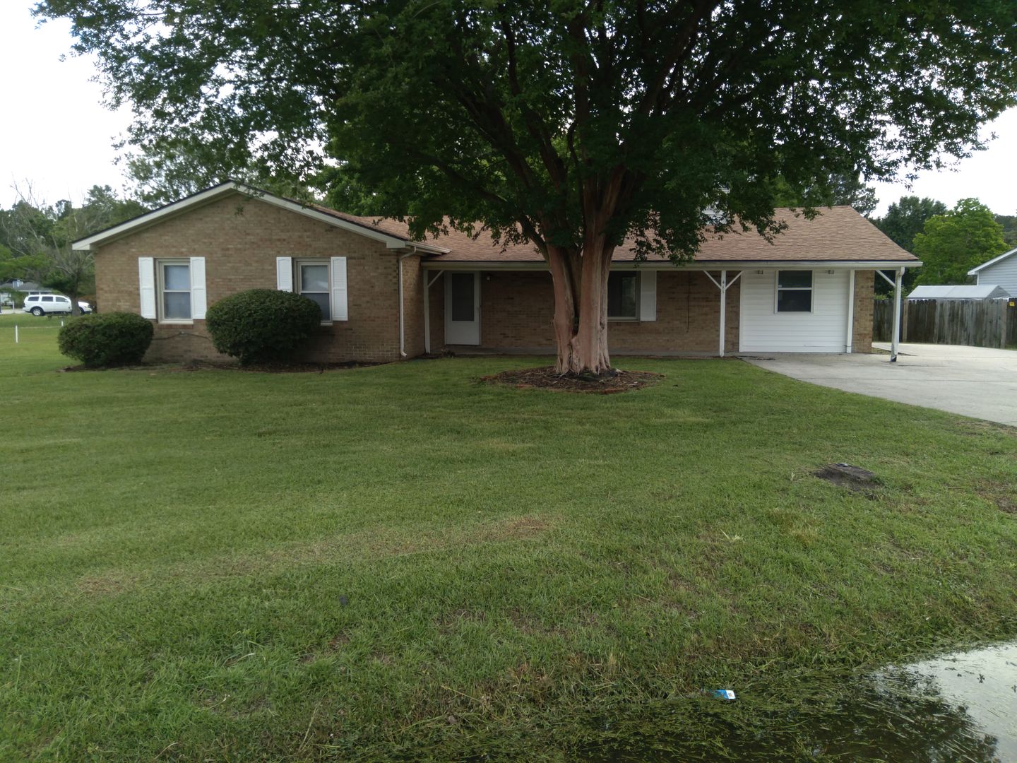 Havelock House: 411 Forest Hill Dr.