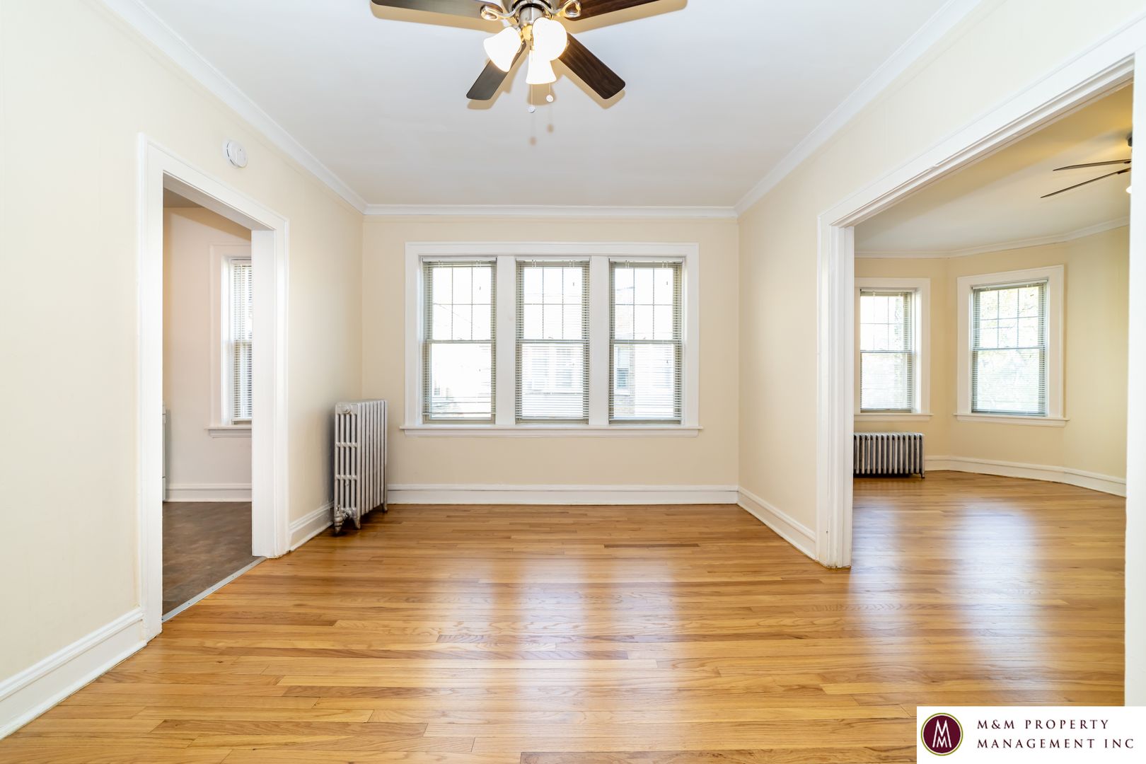 Oak Park Apartment: 901 S. Clinton