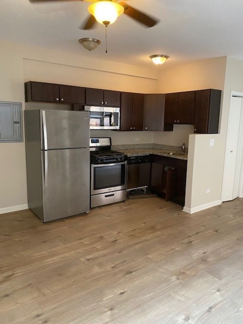 Oak Park Apartment: 1116 Washington BLVD