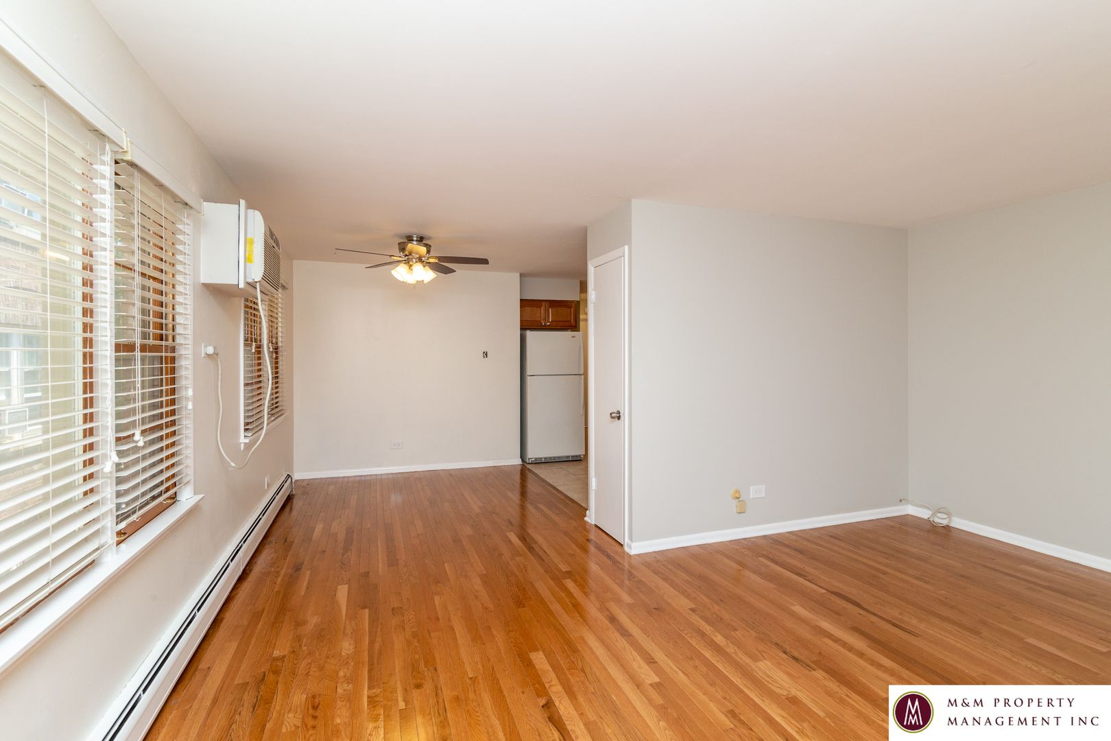 Oak Park Apartment: 428 Washington