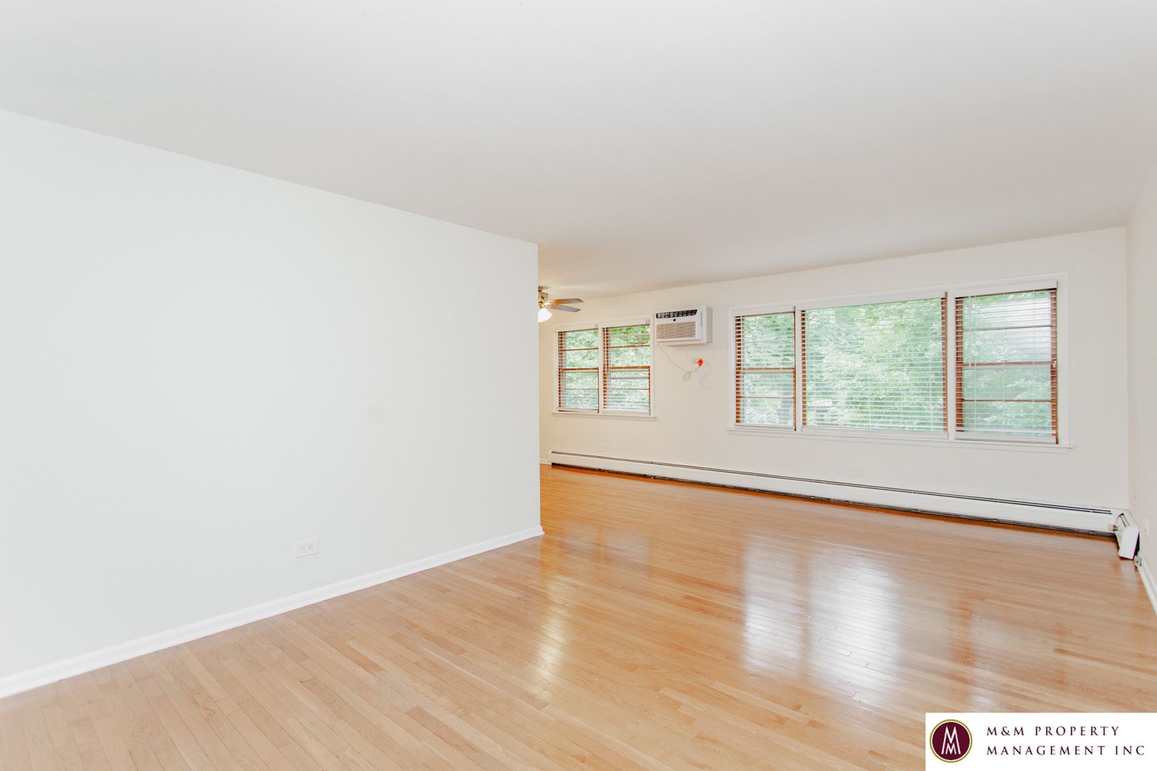 Oak Park Apartment: 428 Washington