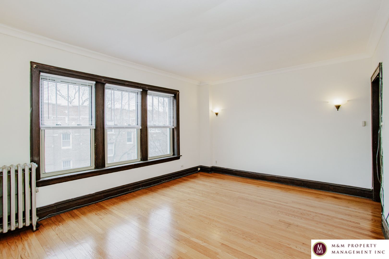 Oak Park Apartment: 319 Harrison