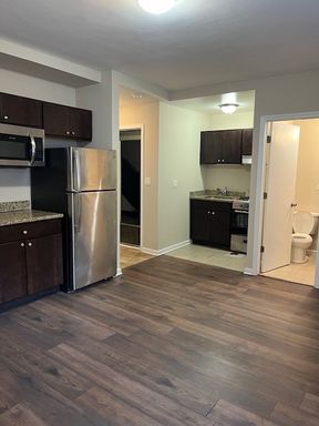 Updated 1 Bedroom in Vintage Oak Park Building – photo 1