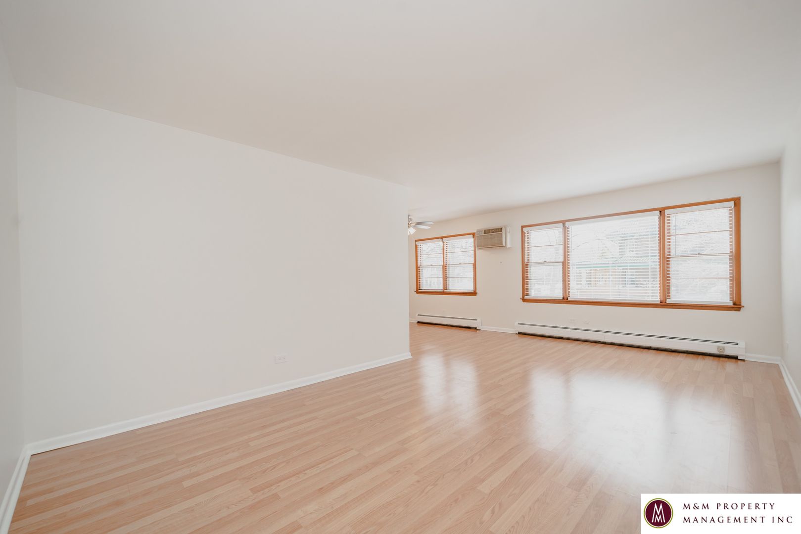 Oak Park Apartment: 428 Washington