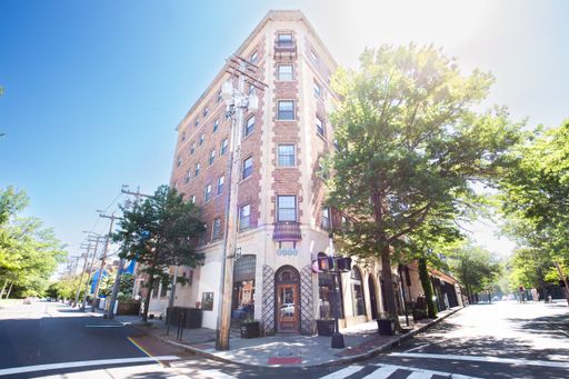 1175 Chapel Street, 504 – photo 1