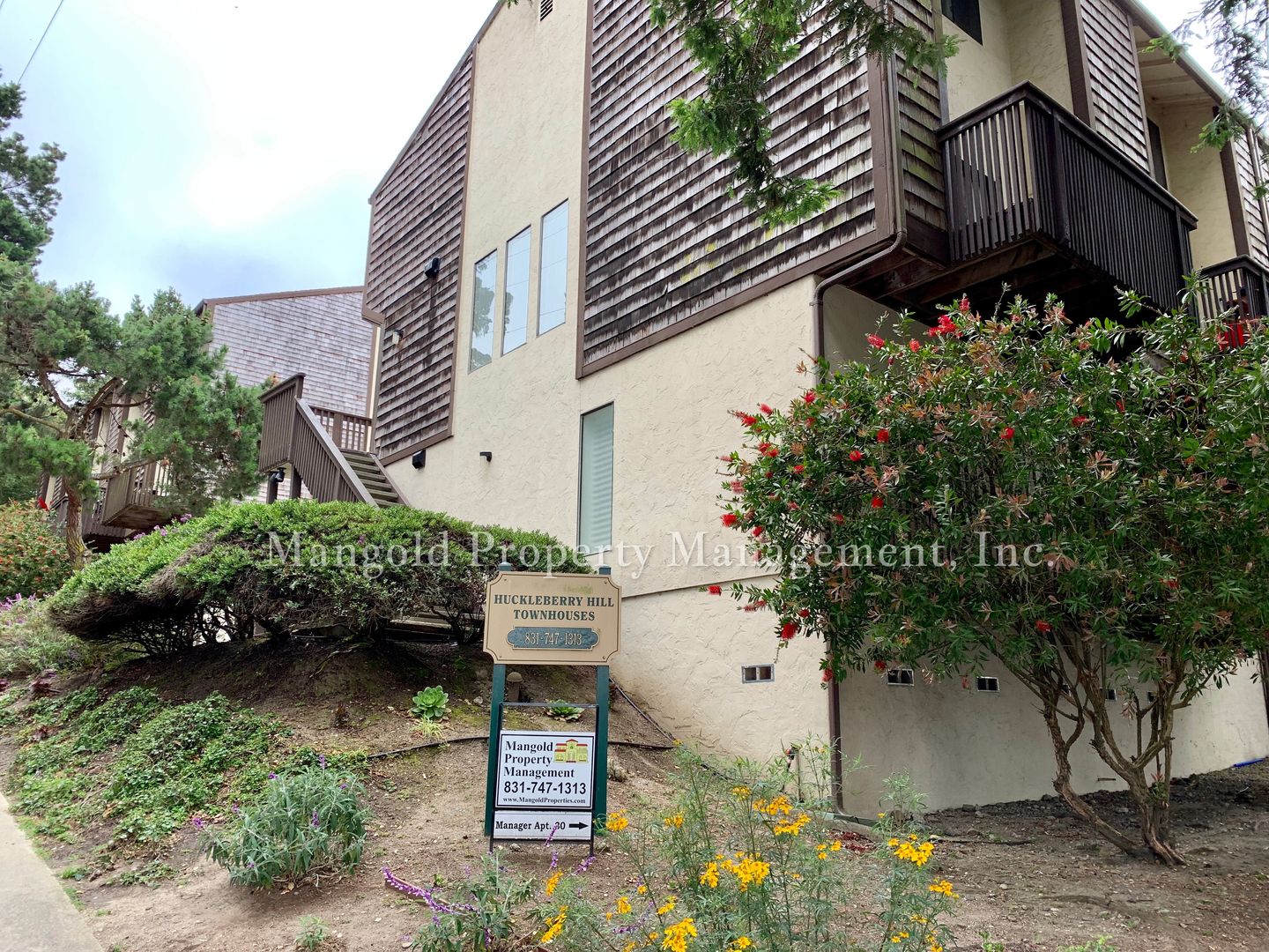 Monterey Apartment: 871 Alice Street