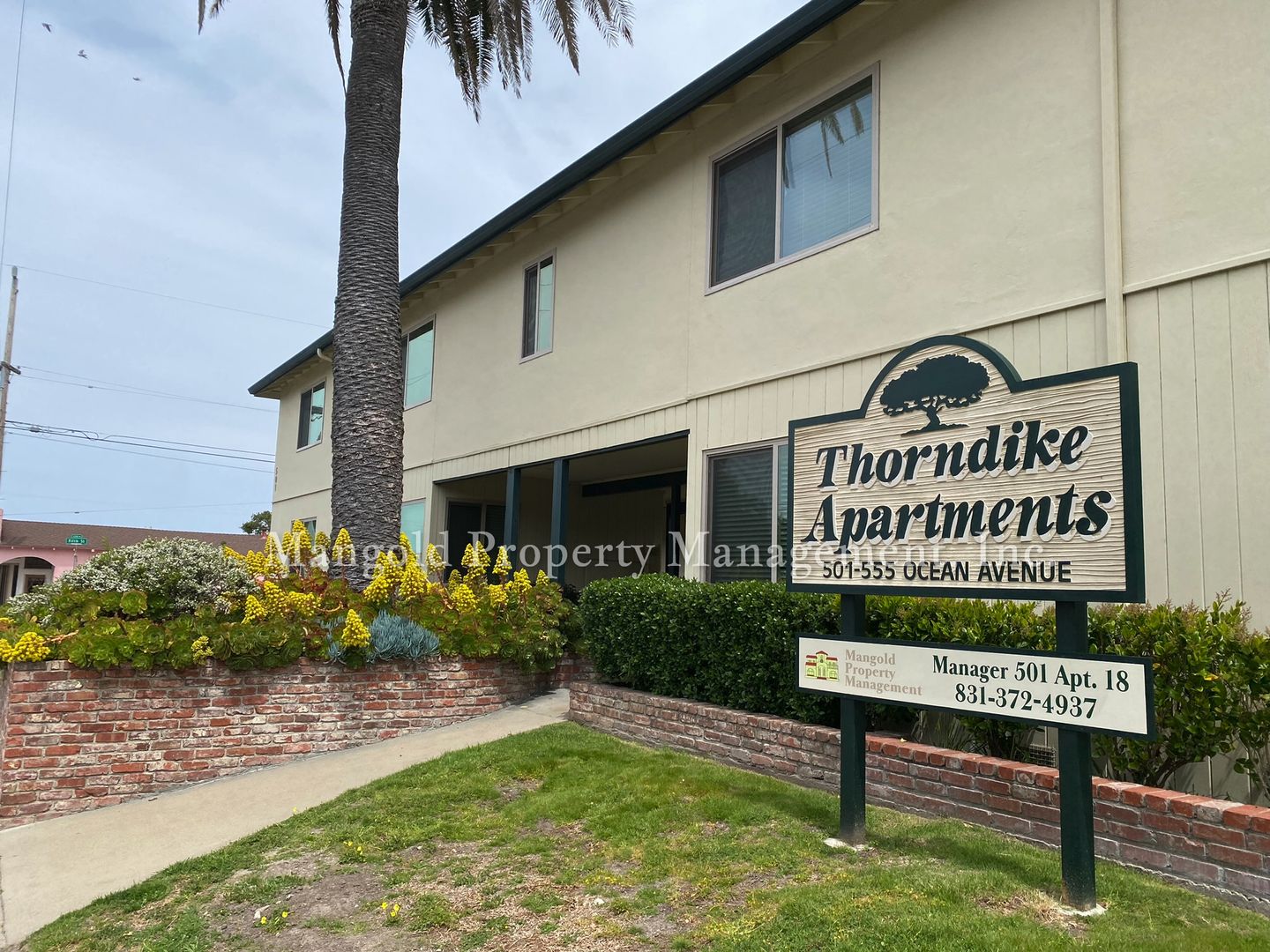 Monterey Apartment: 501-555 Ocean Ave