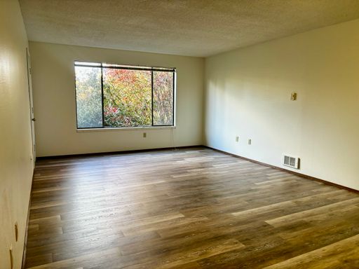 Spacious Shoreline Apartment, Move in special: $500 off first months rent – photo 1