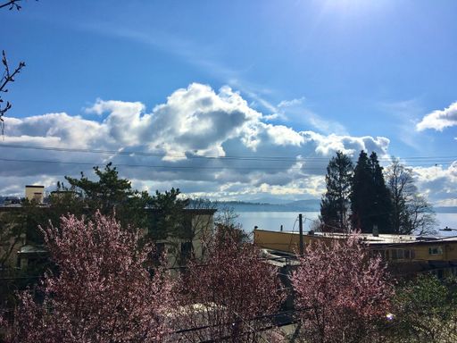 Unique Madison Park Apartment with Lake Washington Views – photo 1