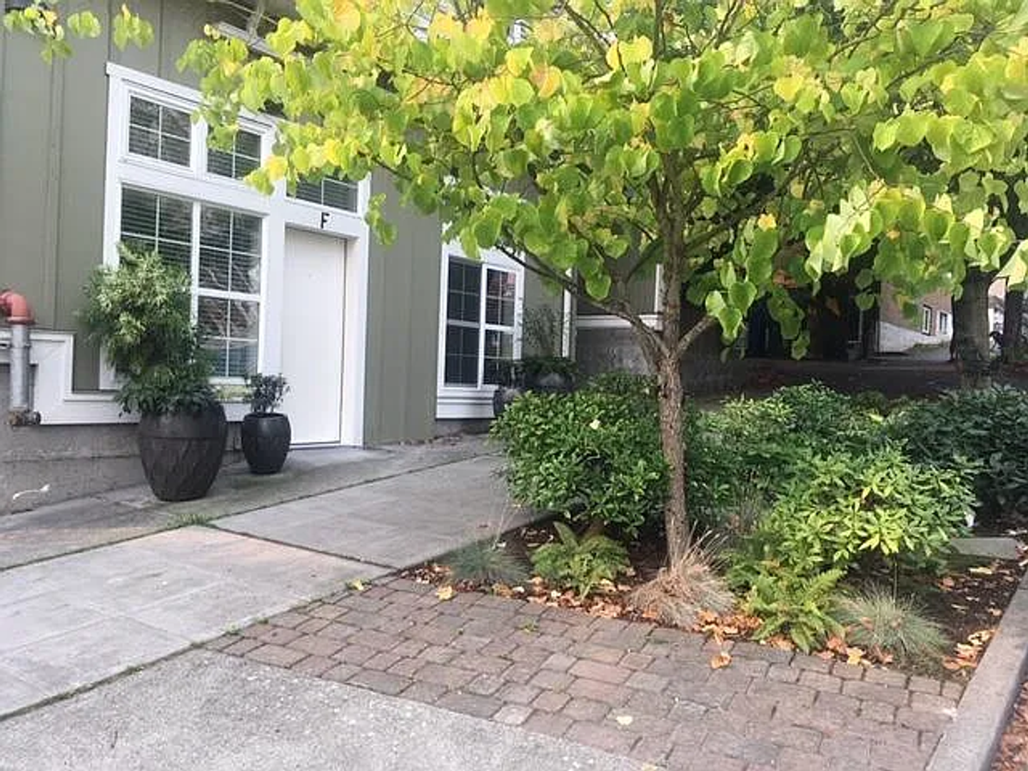 Seattle Apartment: 311 N 77th St
