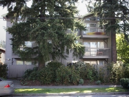 Hidden Gem in Northeast Seattle - Private Patio! – photo 1