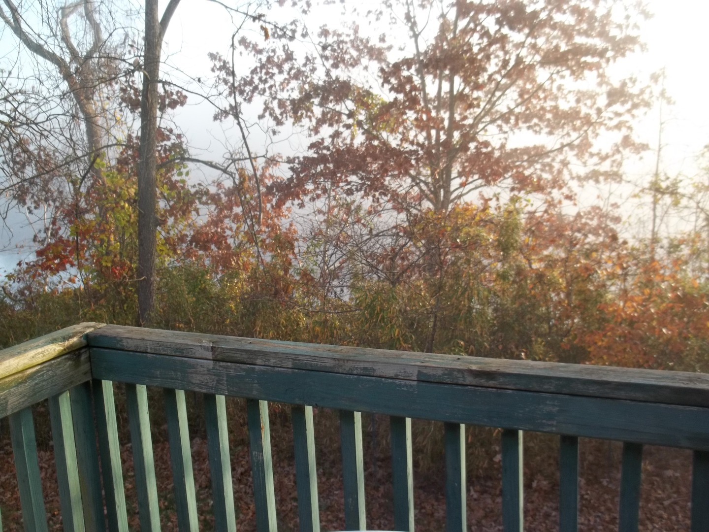 Branson House: 430 Fall Creek Dr. #6