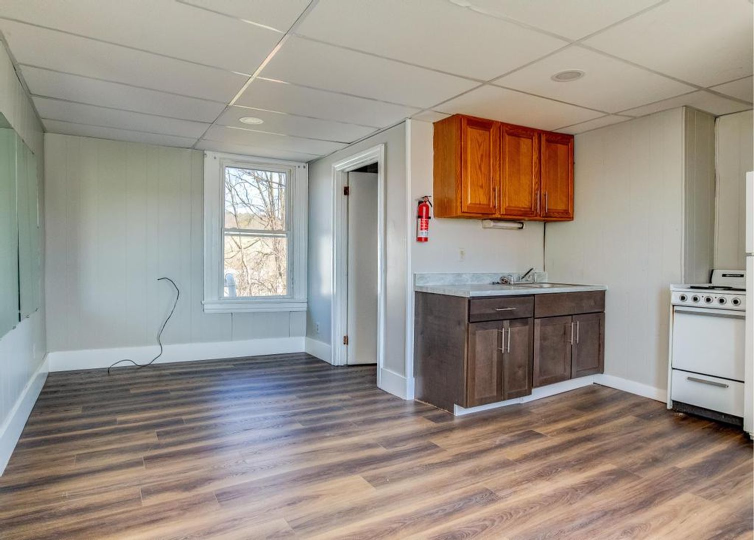 Rochester Apartment: 119 Pine Ave