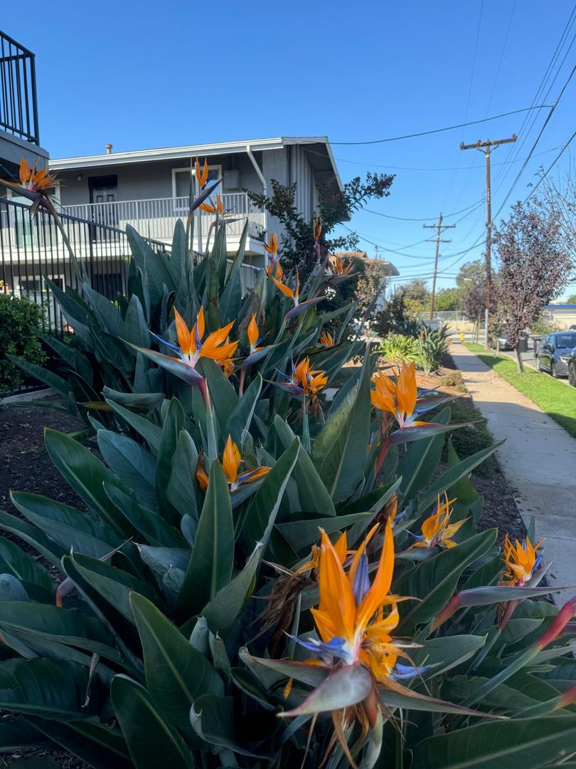 San Diego Apartment: 8501-49 Glenhaven