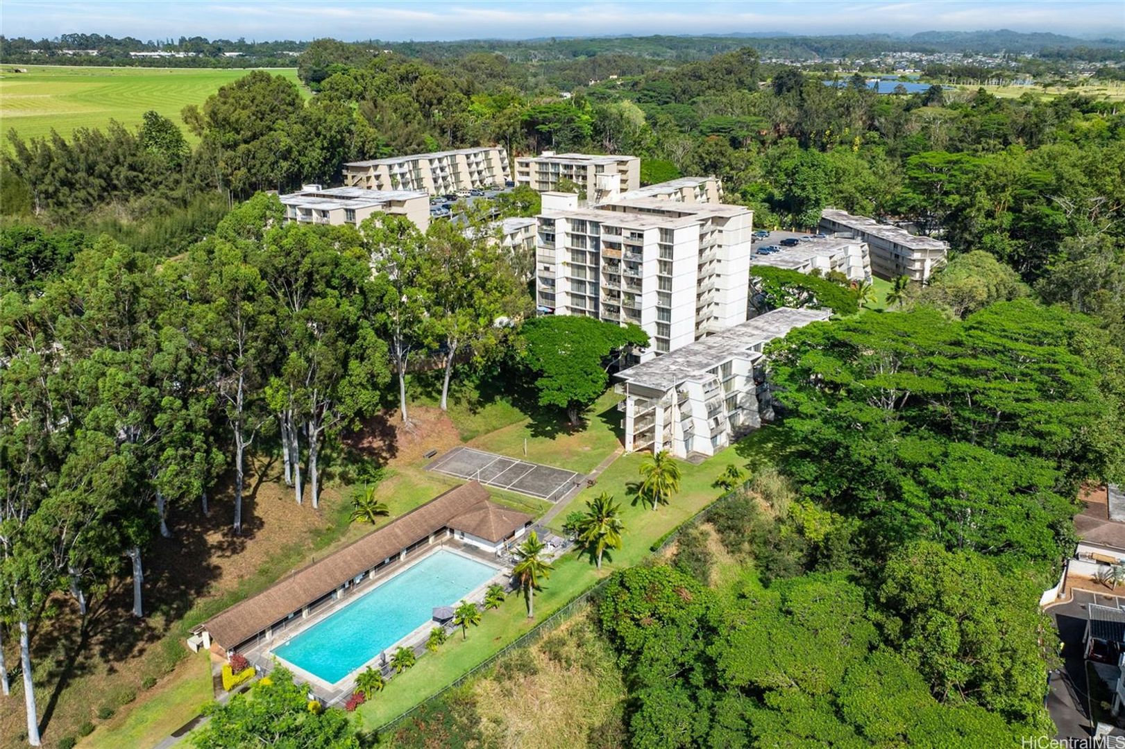Mililani Condo: 95-2031 Waikalani Pl. #D705