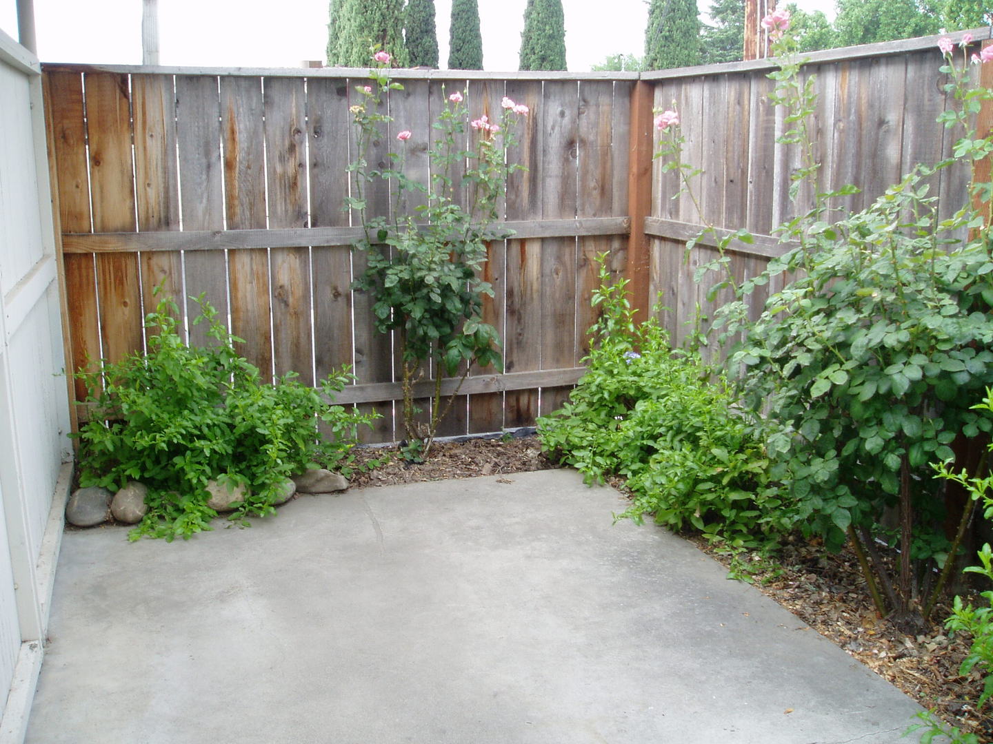 Modesto Condo: 2700 MacDougal St. #24