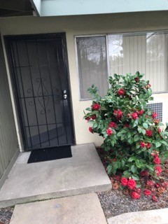 1 bedroom Available early October!! – photo 1