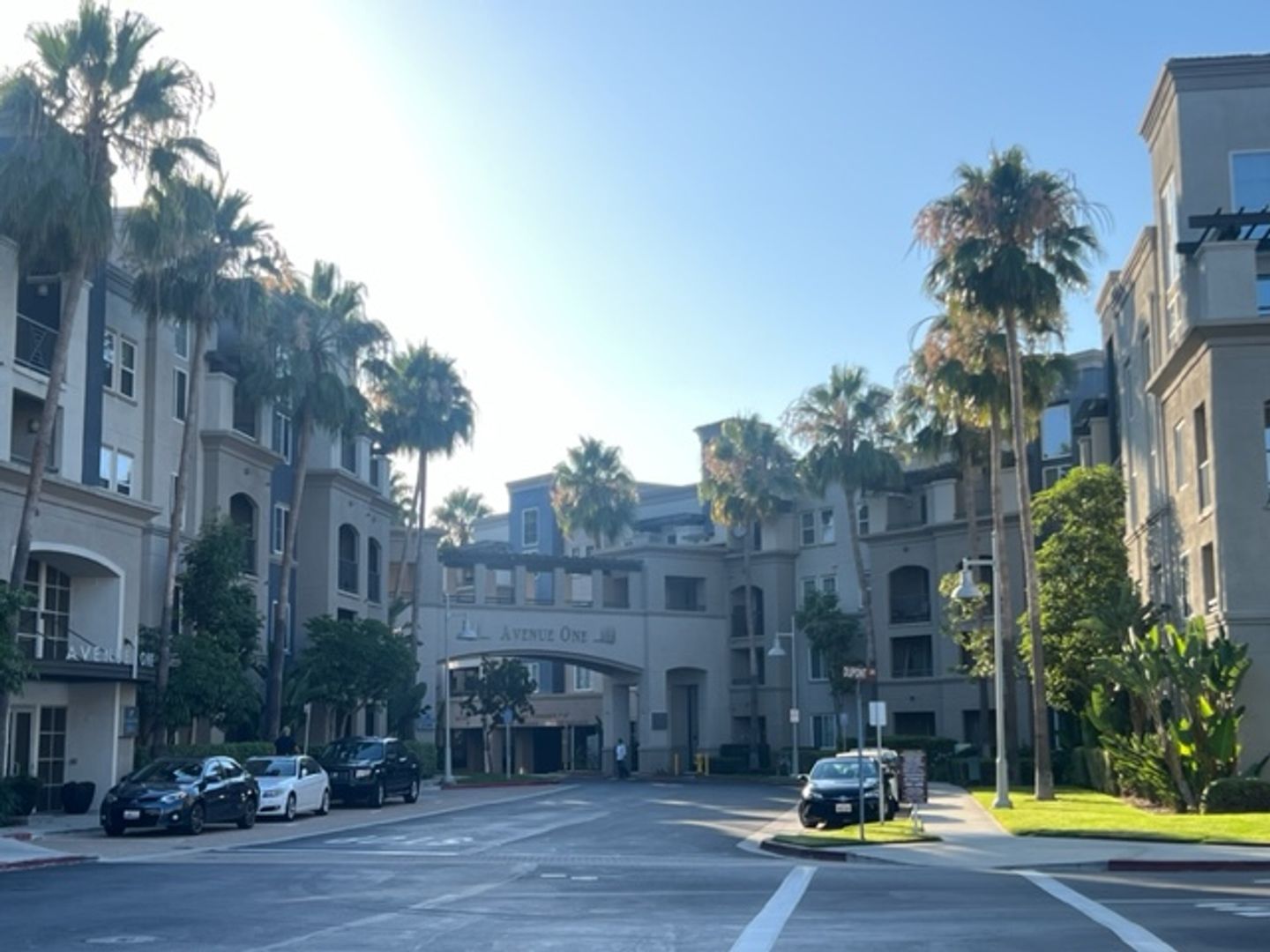 Irvine House: 1234 Scholarship