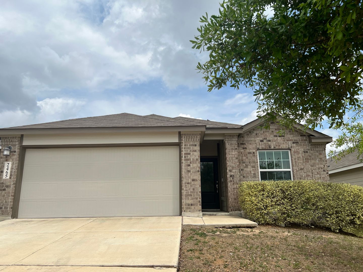 New Braunfels House: 2465 Arctic Warbler