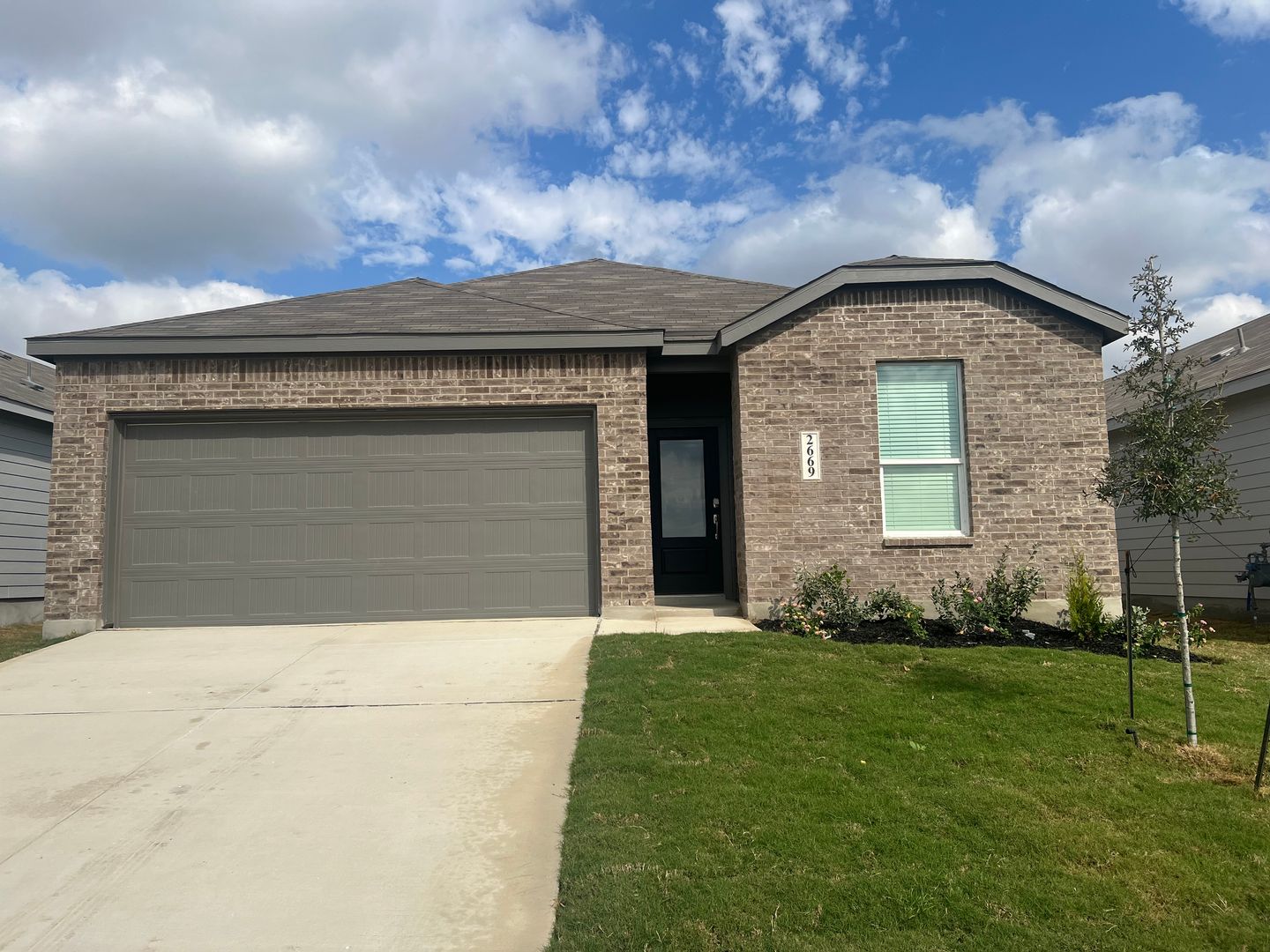 New Braunfels House: 2669 Gallic Rooster