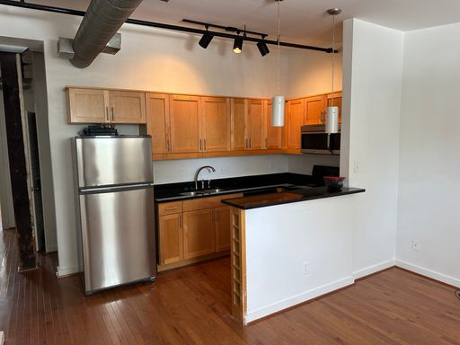 301 NORTH - 301 North Dunlop St., Petersburg - Apt #201 – photo 1