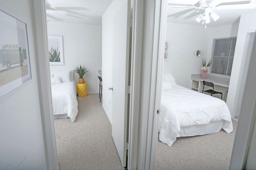 University Commons Apartments: 4/2- bedroom - LEASING for Fall 2026 – photo 1