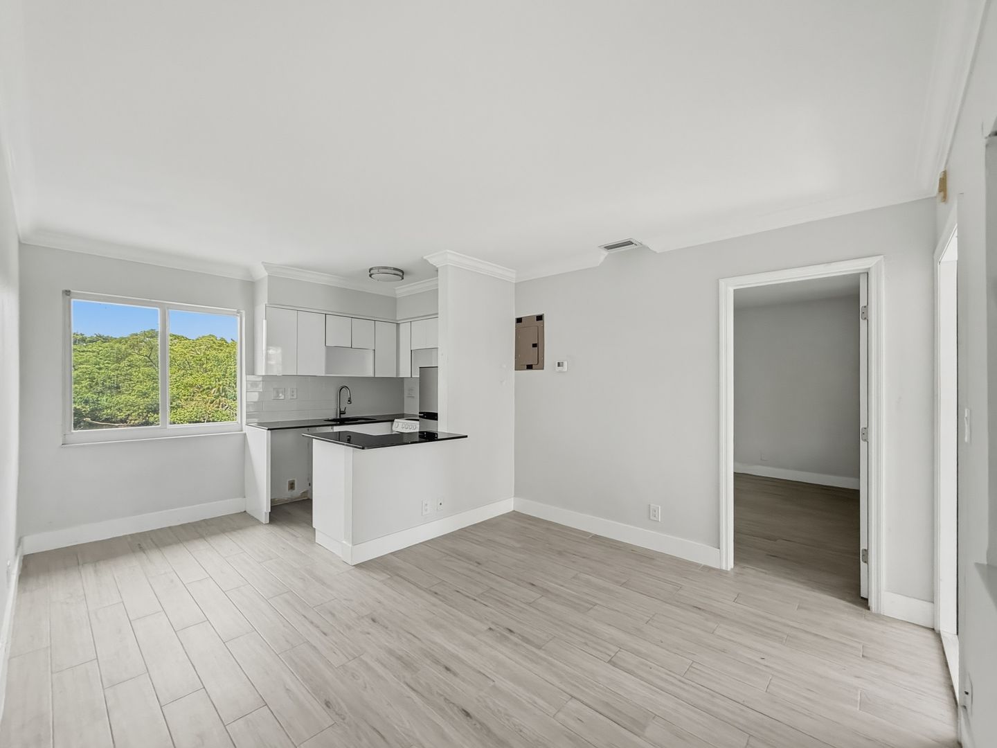 Fort Lauderdale Apartment: 901 NE 18th Court