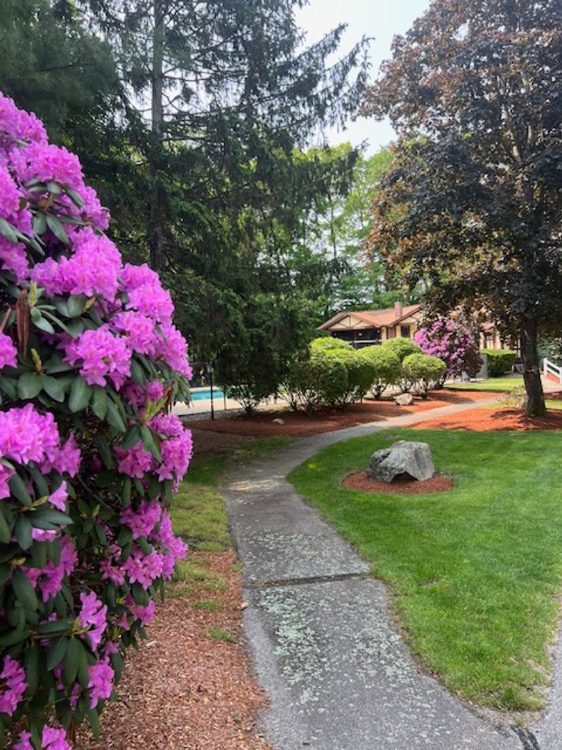 Foxboro Apartment: 25 Putnam Rd.