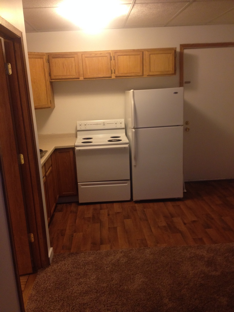 Duluth Apartment: 101 West 3rd Street #100