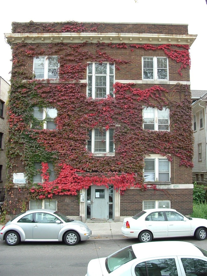 Minneapolis Apartment: 1905 Stevens Ave So.