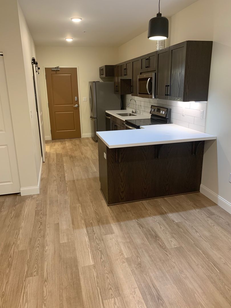 Duluth Apartment: 333 N.1st Ave. West,