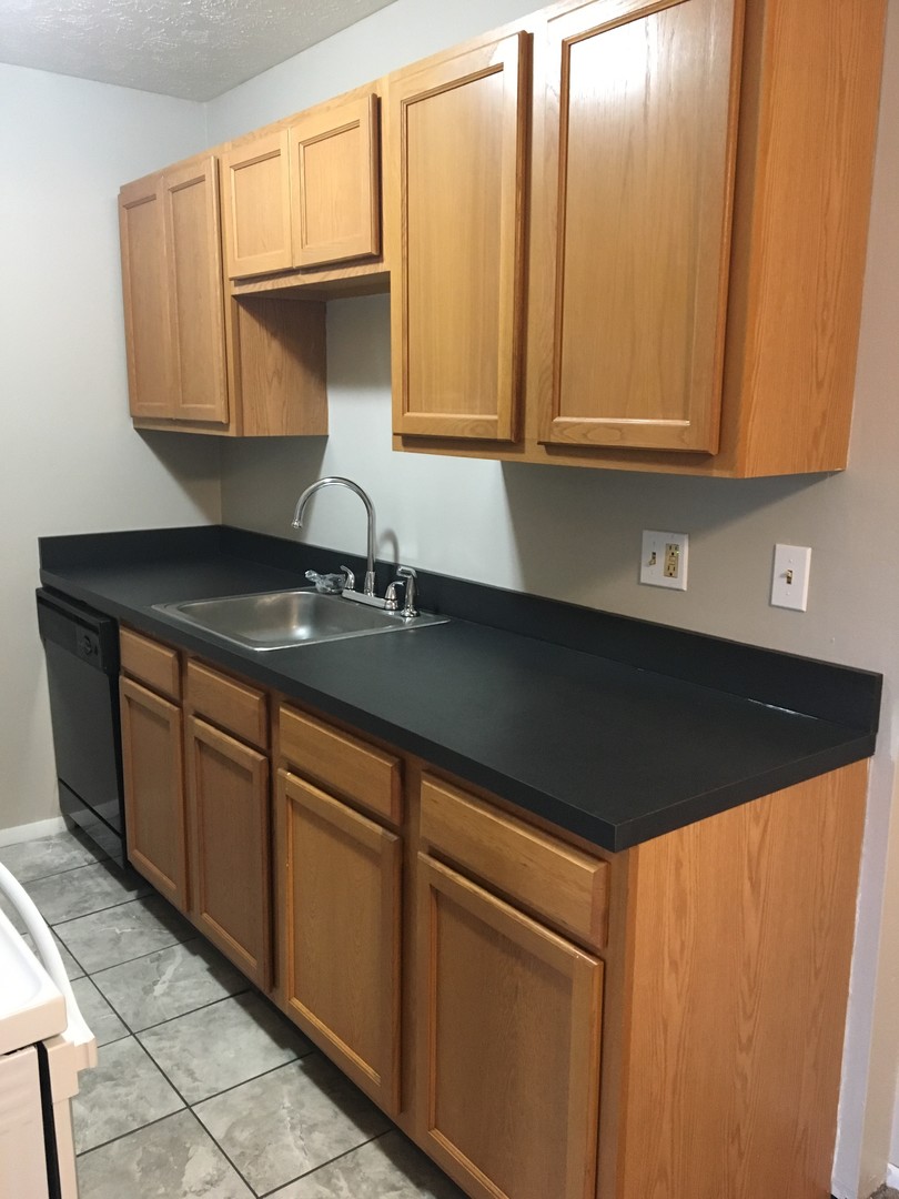 Mentor On The Lake Apartment: 5840 Buckeye Lane #1