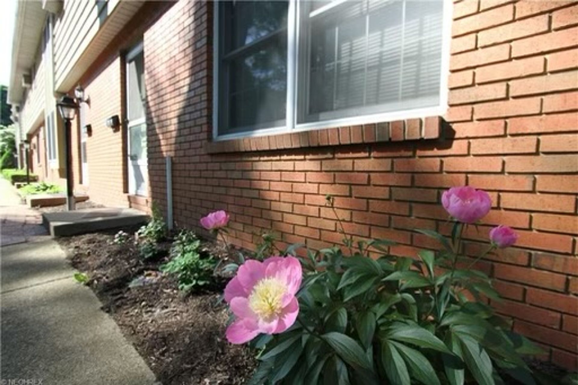 Painesville Townhome: 298 Mentor Ave