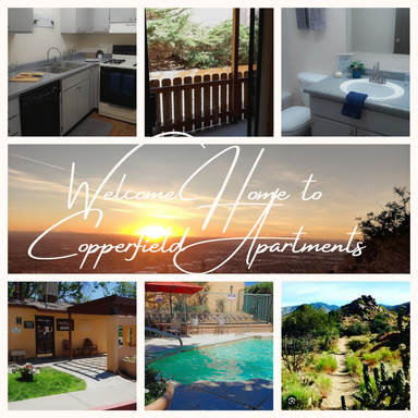 Rare Opportunity! Three Bedroom, Two Bathroom Apartment Home with Washer/Dryer Connections! Won't last long! – photo 1