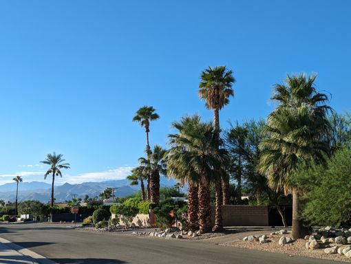 2552 N. Junipero Ave , Unit A , Palm Springs, CA 92262